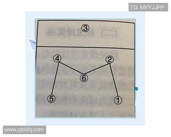 武汉排球队的节奏揭秘：深度解析排球运动的魅力与战术